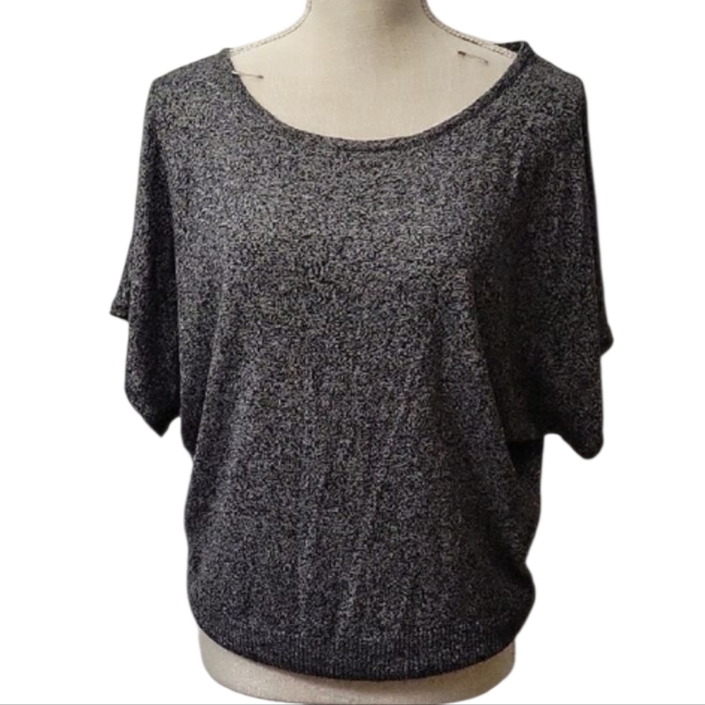 The Limited Gray Shortsleeve Sweater